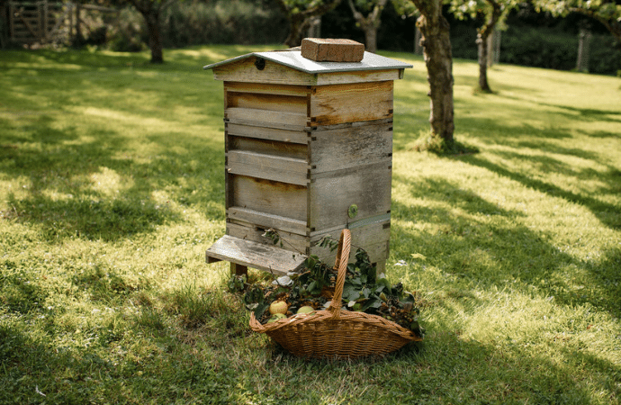 Beehive in garden at Berwick Lodge Bristol